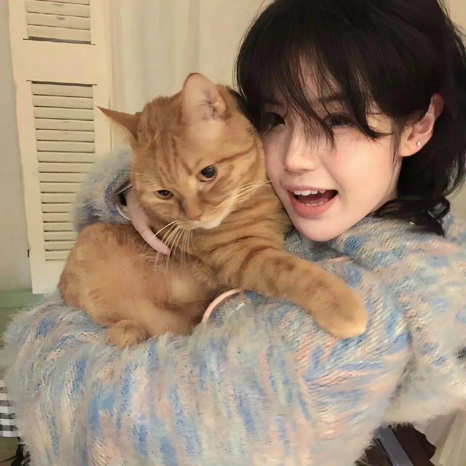 猛龙过江短剧